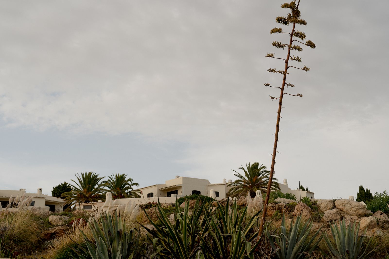 Tempe, Phoenix metro rental housing